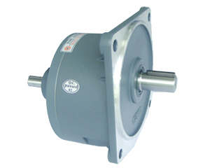 GVD vertical double shaft reducer